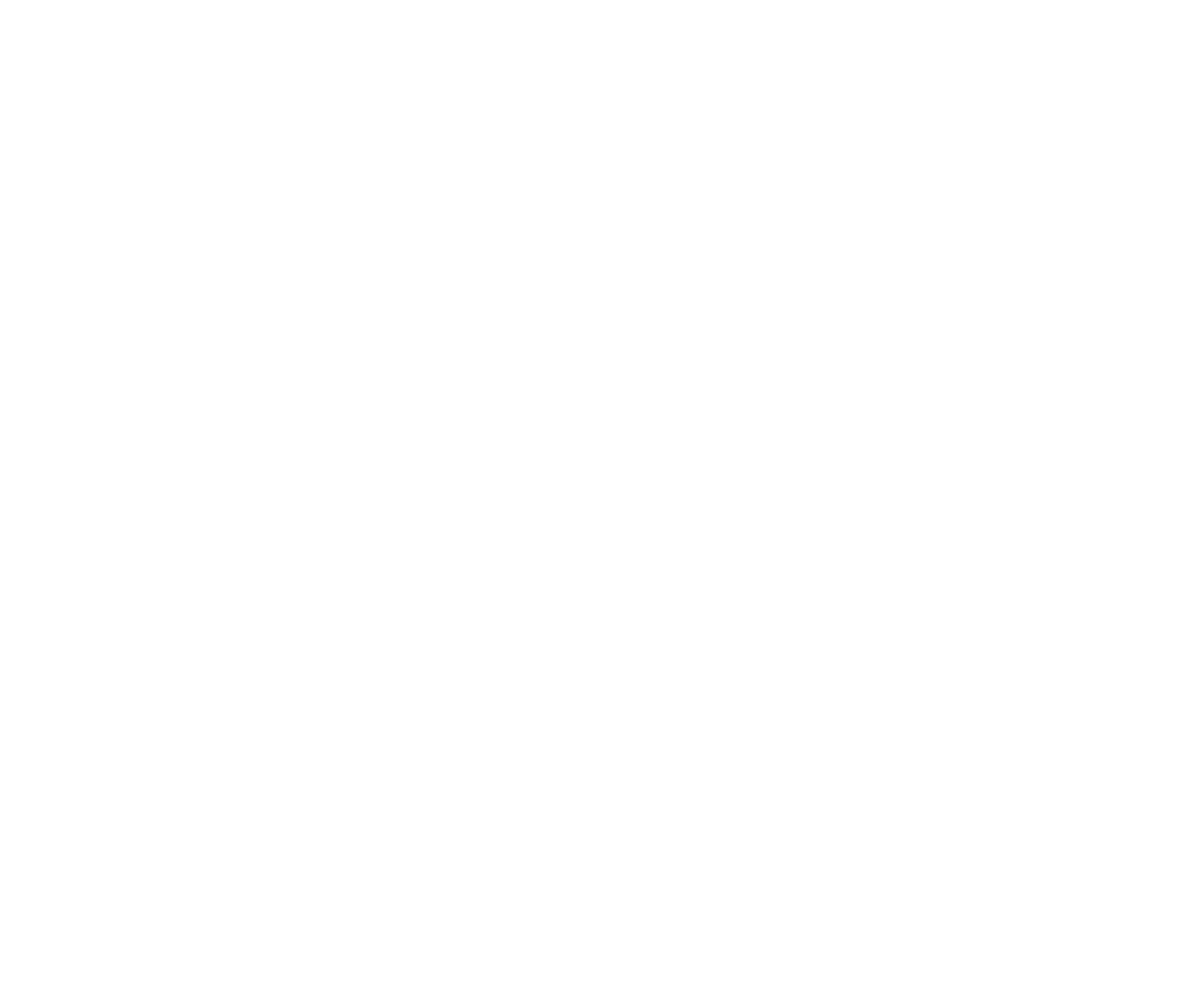 PUNK ROCK PATRIOT